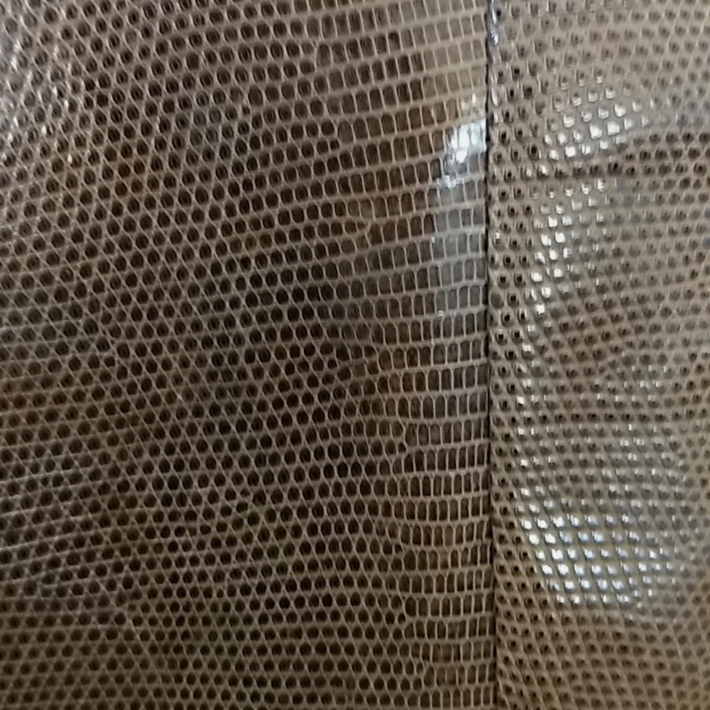 Lizard Handbag - image 3